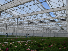 greenhouse with screen