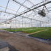 greenhouse with side ventilation